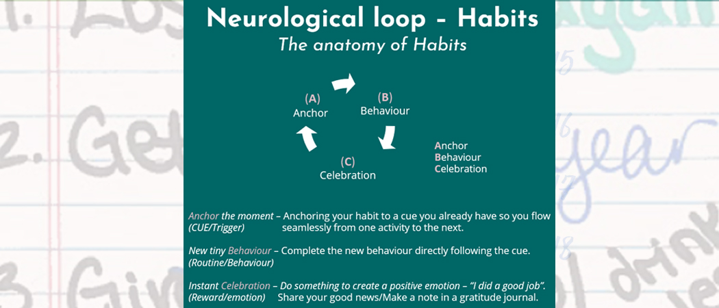 Ny Resolution Neuro Loop